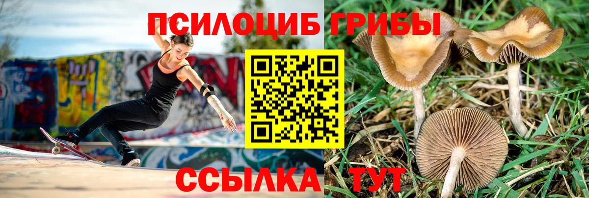 Галлюциногенные грибы мицелий Армавир