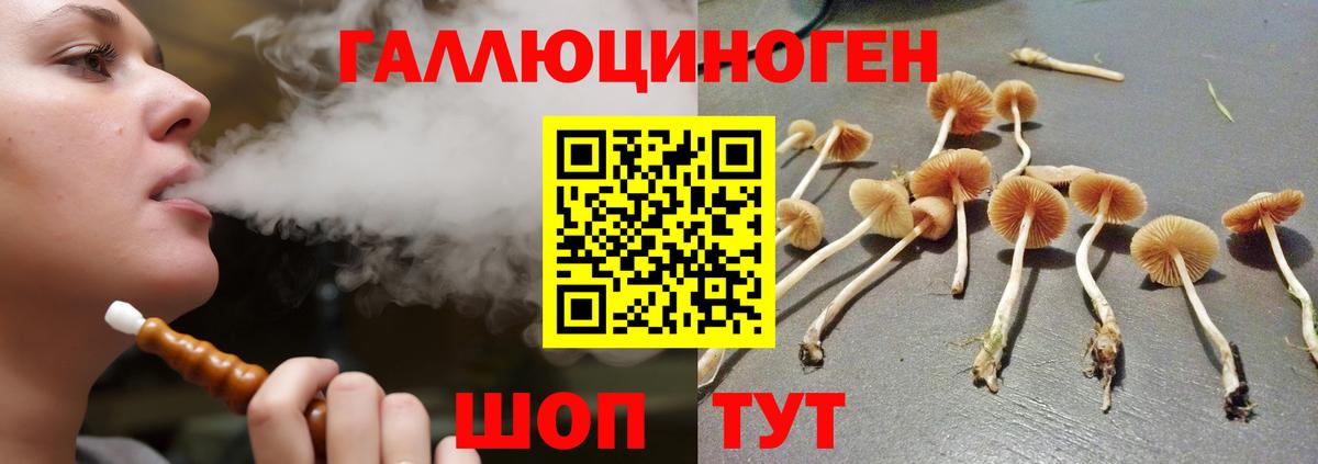 Армавир  Псилоцибиновые грибы MAGIC MUSHROOMS  Вход с VPN 